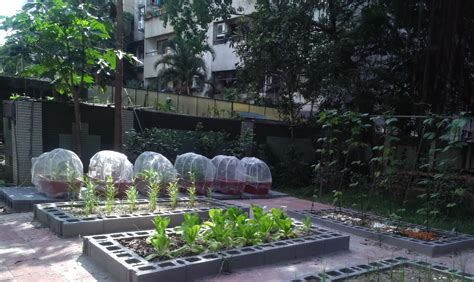 頂樓菜園設計|可食地景 社區/屋頂農場規劃管理